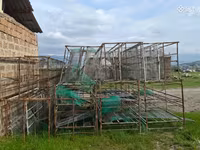 Հավի վանդակներ հավի բուն — Foto 4