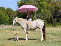 घोड़ी, Skyros Pony — फ़ोटो 1