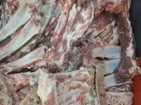 Ոսկոր տարբեր տեսակների — լուսանկար 2