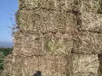Կորնգանի խոտի տուկ — լուսանկար 4