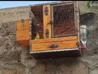 Ձեռքի սարքած սիրուն բներ — foto 1