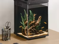 Խելացի ակվարիում Аквариум умный Xiaomi Mijia Smart Fish Tank MYG200 10л — 照片 1