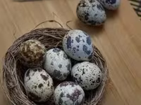 Լորի ինկուբացիոն ձու — Foto 1