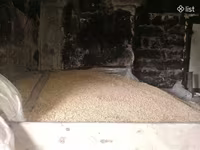 6 քյոշանի գարի-գարի սերմի — foto 1