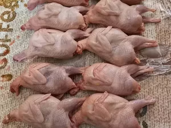 Լոր, lor, լորի միս լոր