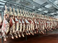 Шея из быка, halal александров доставка — լուսանկար 2