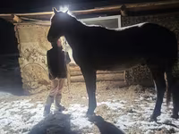 Cavalo, New Altai Horse — foto 1