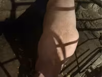 Sow, Pigs — photo 3