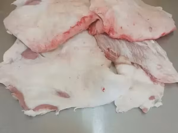 Սալ խոզի տեղական