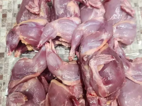 Quails