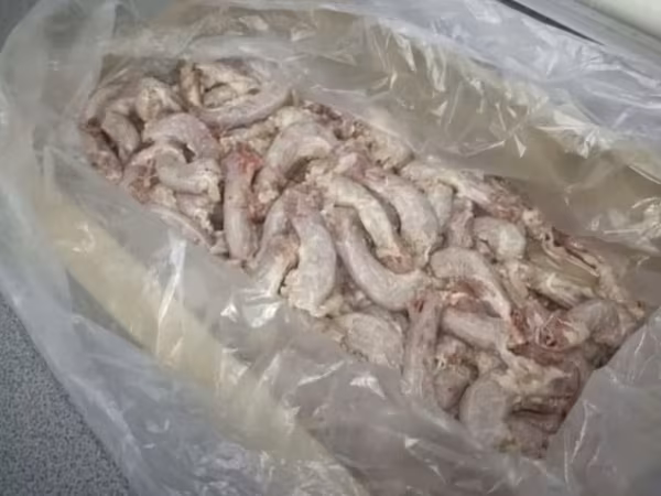 Шеи куриные монолит