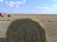Продам сено рядом с Кокшетау — photo 1