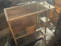Թութակի վանդակ 3տնակով — լուսանկար 2