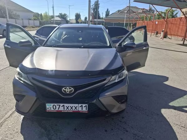Ոչխար, Ոչխարներ