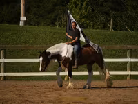 公马, Pinto horses — 照片 6