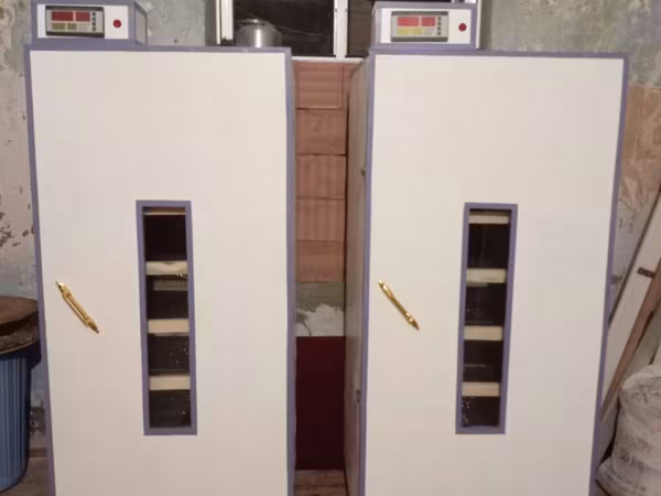 İnkubator 1000 yumurtalıq zakasla yigilir tam afdamat isdeyeyir unvan