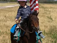 Caballo, Pinto horses — foto 4