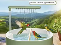 Ванна для попугая — photo 1