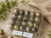 Quails — photo 2