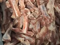 Ոսկոր տարբեր տեսակների — լուսանկար 1