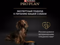Շների չոր կեր PRO PLAN Sensitive Digestion (զգայուն մարսողության համար), 3կգ — 照片 5