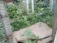 Ճագարի Վանդակ 2 տեղանոց — լուսանկար 1