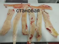 Становая жила — Foto 2