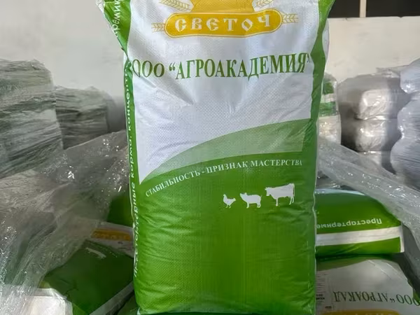 Կոնցենտրատ 10%, հղի խոզամայրի կեր