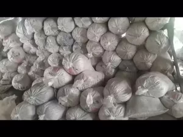 Թեփ, փայտի թեփ / апилка