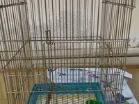 Quş qəfəsi - Material: metal barmaqlıq, plastik altlıq - Ölçü — foto 2
