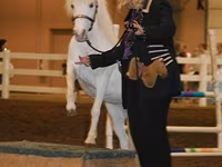 Էգ ձի, Miniature horse — լուսանկար 6
