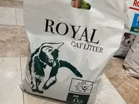 Royal cet katvi avaz կատվի համար տեղական լցանութ — լուսանկար 2