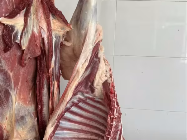 Կաթի գառ, գառի միս, մատաղի