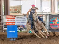 Ձի, Quarter Horse — լուսանկար 3