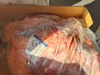 Лопатка из быка, гост, halal доставка — լուսանկար 4