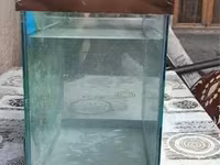 Ակվարիում 30 լիտր — լուսանկար 3