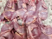 Quails — Foto 3