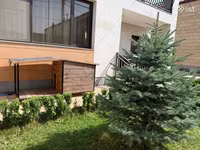 Շան բուն մեծտեսականի — Foto 3