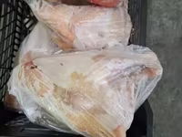 Թարմ, հավեր, մորթած — сүрөт 3
