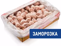 Тушка ЦБ 1с в пакете — фото 4