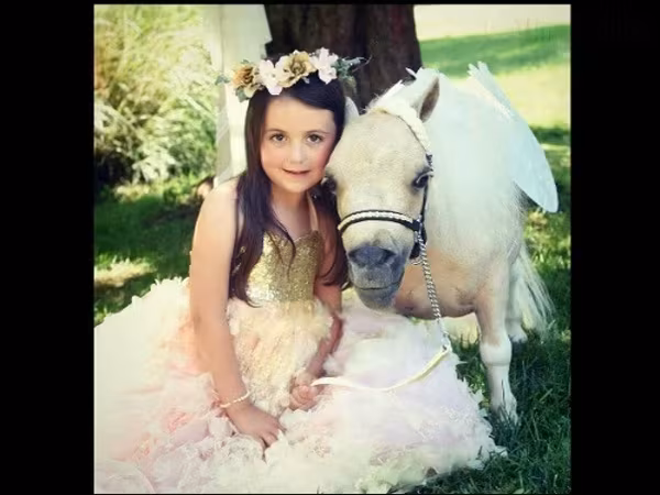 فرس, Miniature horse