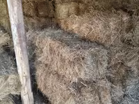 Խոտի տուկ խոտ սարի խոտ — լուսանկար 4