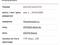Ձի, Standardbred — լուսանկար 8