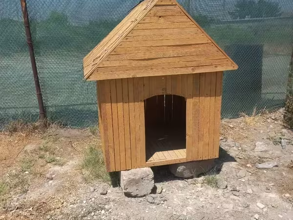 Շան բուն վանդակ փայտից