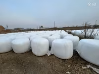 Սիլոս կուկուռուզի, Գարու սալոմ — foto 2