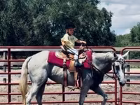 فرس, Quarter Horse — الصورة 8