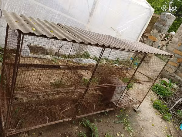 Վանդակ, նապաստակի համար