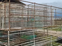 Հավի վանդակներ հավի բուն — Foto 3