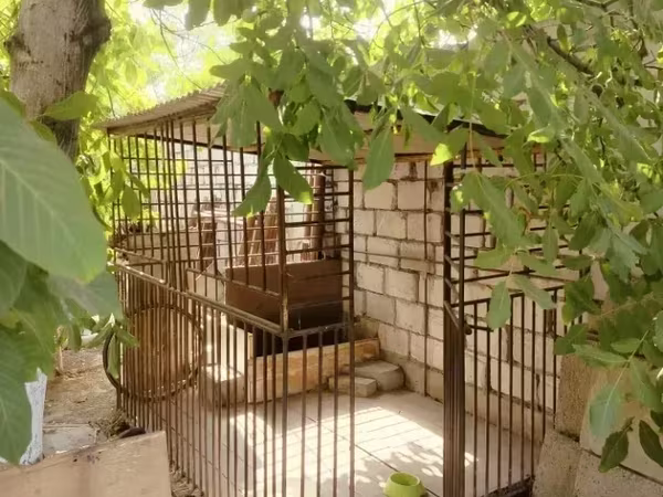 Շան բուն վանդակ վոլիեր