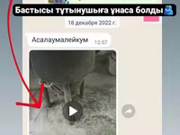 Универсал Дробилка Двигатель 3кВт Молотковые Дробилки зерна — фото 4